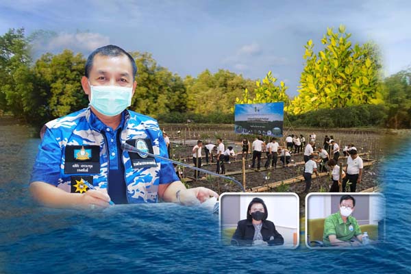 กรม ทช. ปรับปรุงระเบียบกรมฯ ว่าด้วยการปลูกและบำรุงป่าชายเลนทดแทนเพื่อการอนุรักษ์และรักษาสภาพแวดล้อม