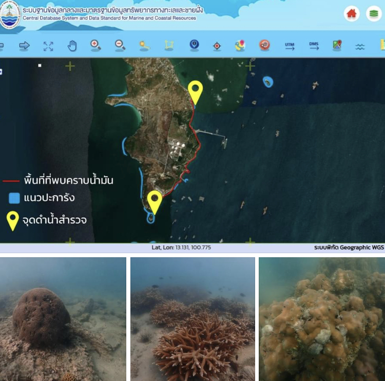 เร่งติดตามผลกระทบ น้ำมันเกยหาดท้ายเกาะสีชัง