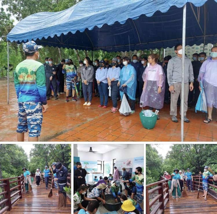 จิตอาสา ร่วมพัฒนาพื้นที่ป่าชายเลนในเมืองระยอง