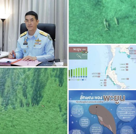 แถลงการณ์ของกรมทรัพยากรทางทะเลและชายฝั่ง เรื่อง “สถานภาพพะยูนไทย”