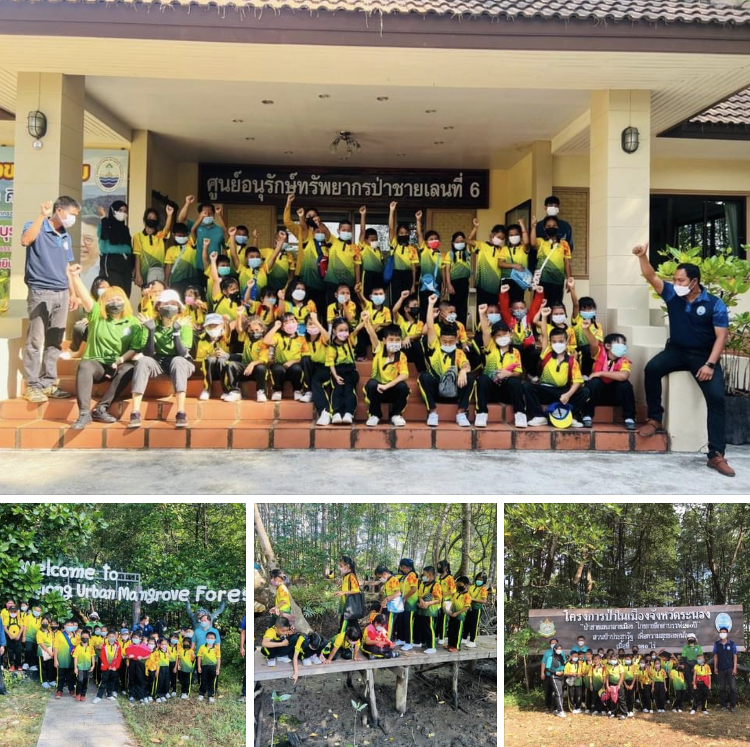 น้องๆ วัดหาดส้มแป้น เที่ยวดูโกงกางดึกดำบรรพ์ระนอง