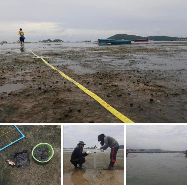 พาสำรวจทรัพยากรทางทะเลหาดอาภากร จ.ชลบุรี