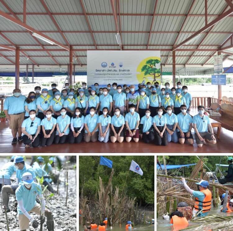 จิตอาสาพนักงาน ปตท.สผ. รักษ์ทะเลสมุทรสงคราม