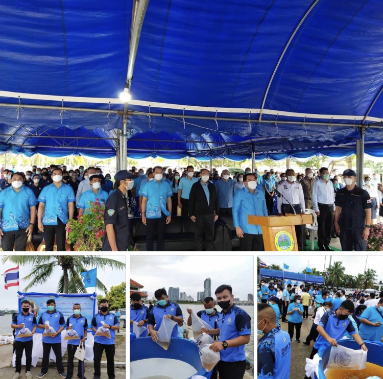 ร่วมงานประมง นำชุมชนศรีราชาเพิ่มพันธุ์กุ้งแชบ๊วยลงทะเล