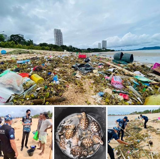 เร่งช่วยลูกเต่าทะเล พบเกยตื้นพร้อมขยะทะเลที่หาดบ้านอำเภอ