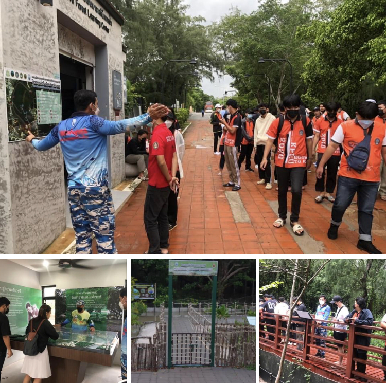 คณะกำแพงเพชร ป่าตองเที่ยวป่าชายเลนในเมืองระยอง