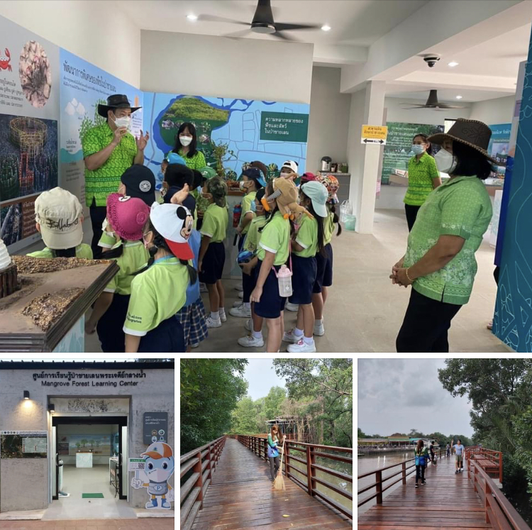 ดูป่าชายเลนสมบูรณ์ในเมือง ที่พระเจดีย์กลางน้ำระยอง