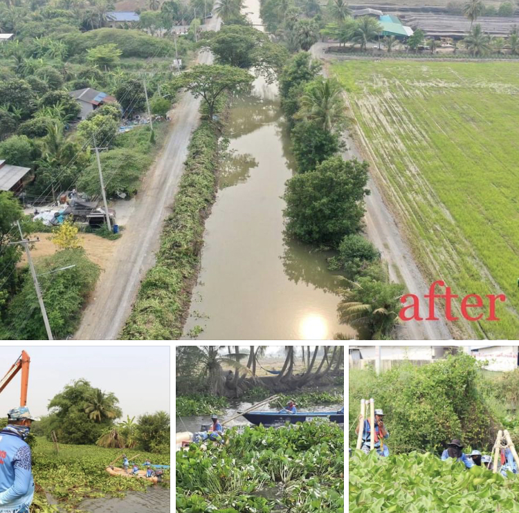 เคลียร์ผักตบชวา เปิดทางคลองเชื่อมสมุทรสาคร-นครปฐม