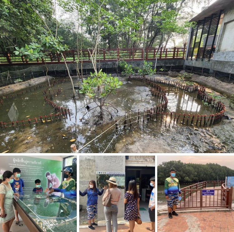 สงกรานต์มาระยอง อย่าลืมแวะป่าชายเลนพระเจดีย์กลางน้ำ