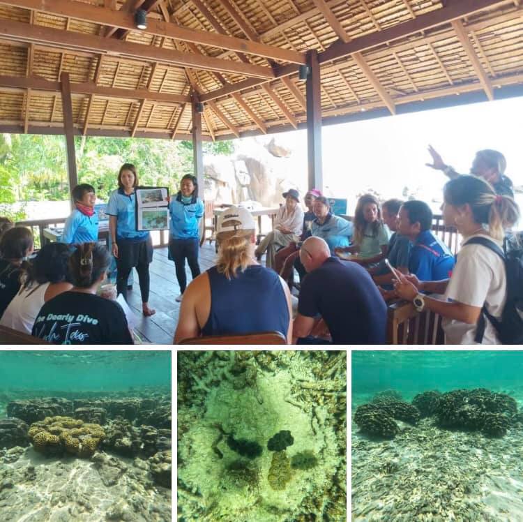 เครือข่ายนักดำน้ำเกาะเต่า สำรวจระบบนิเวศปะการัง