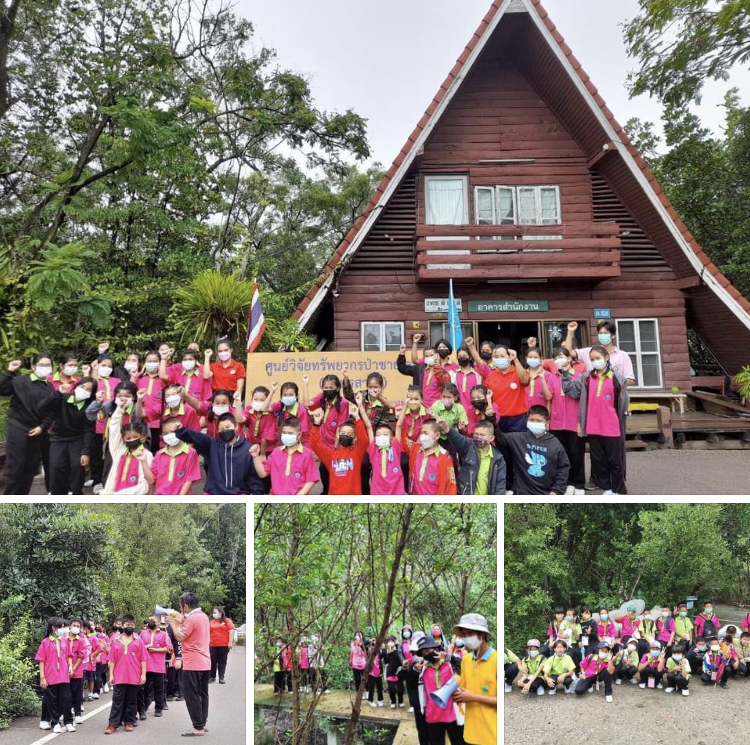 ต้อนรับคณะจากโรงเรียนเทศบาลนาดีเรียนรู้เรื่องป่าเลน