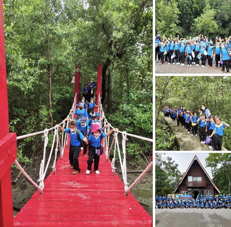ต้อนรับน้องๆ โรงเรียนวัดโสภณาราม เรียนรู้ป่าชายเลน