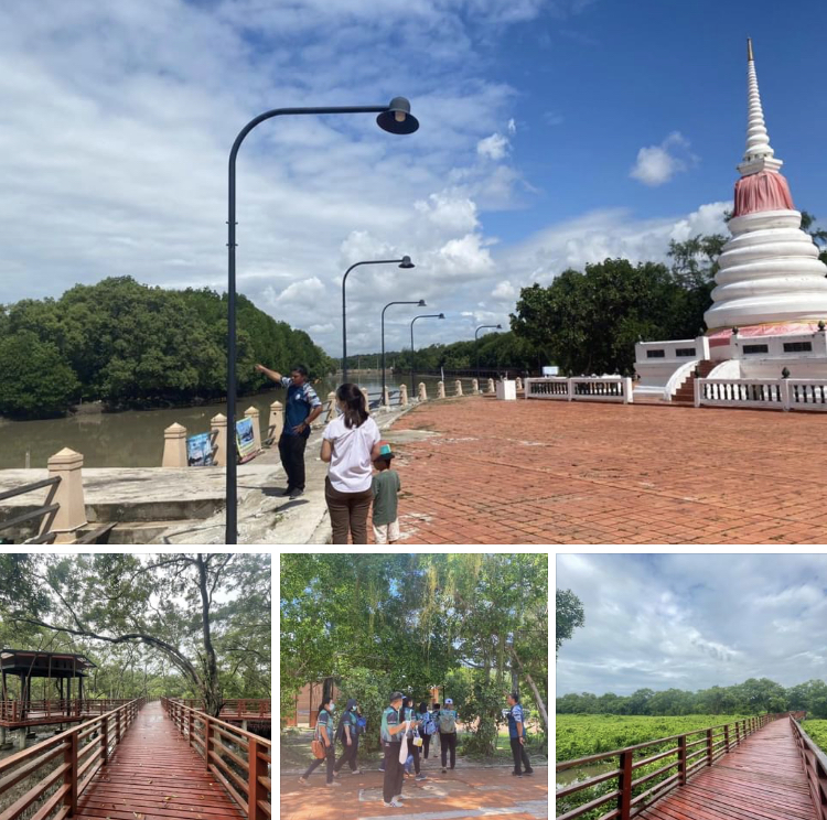 ราชมงคลอีสาน ลพบุรี มาชมป่าชายเลนในเมืองระยอง