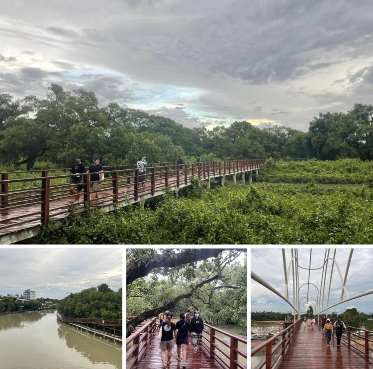 ฉ่ำฝน เดินสบายใจในเขตป่าชายเลนในเมือง ปากน้ำระยอง