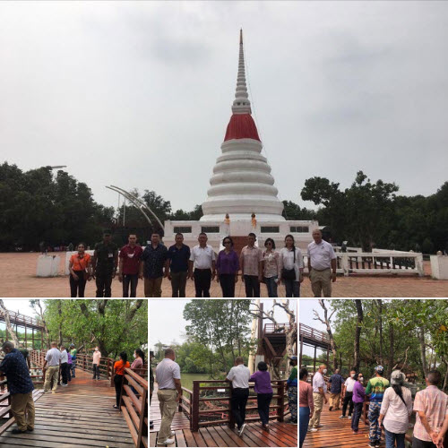 พระเจดีย์กลางน้ำระยอง เดินเย็นๆ ดูเพลินๆ ป่าชายเลน