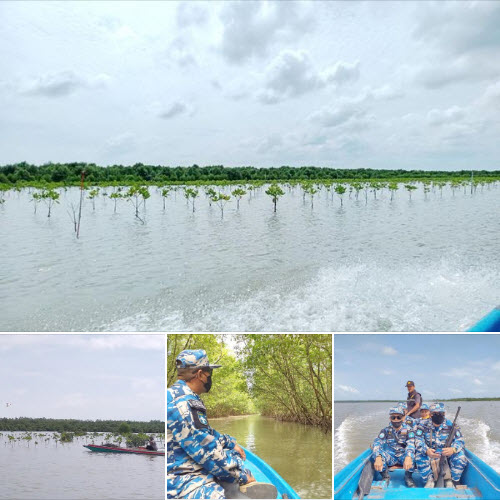 ร่วมท้องถิ่น ดูแลผืนป่าชายเลนแหลมตะลุมพุก