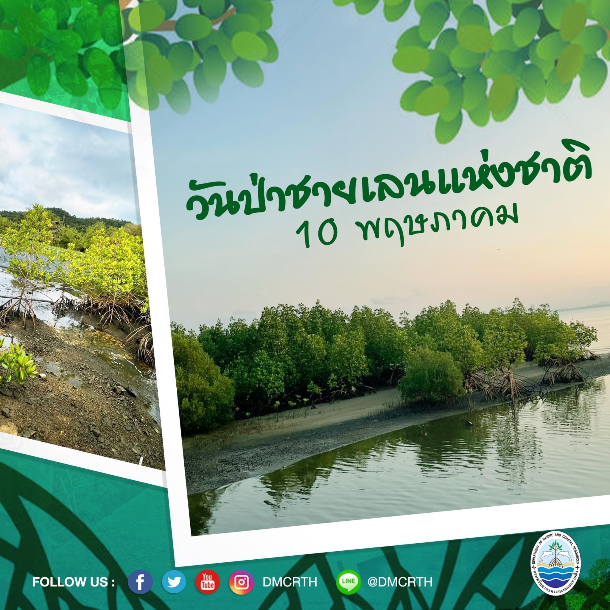 ๑๐ พฤษภาคม วันป่าชายเลนแห่งชาติ