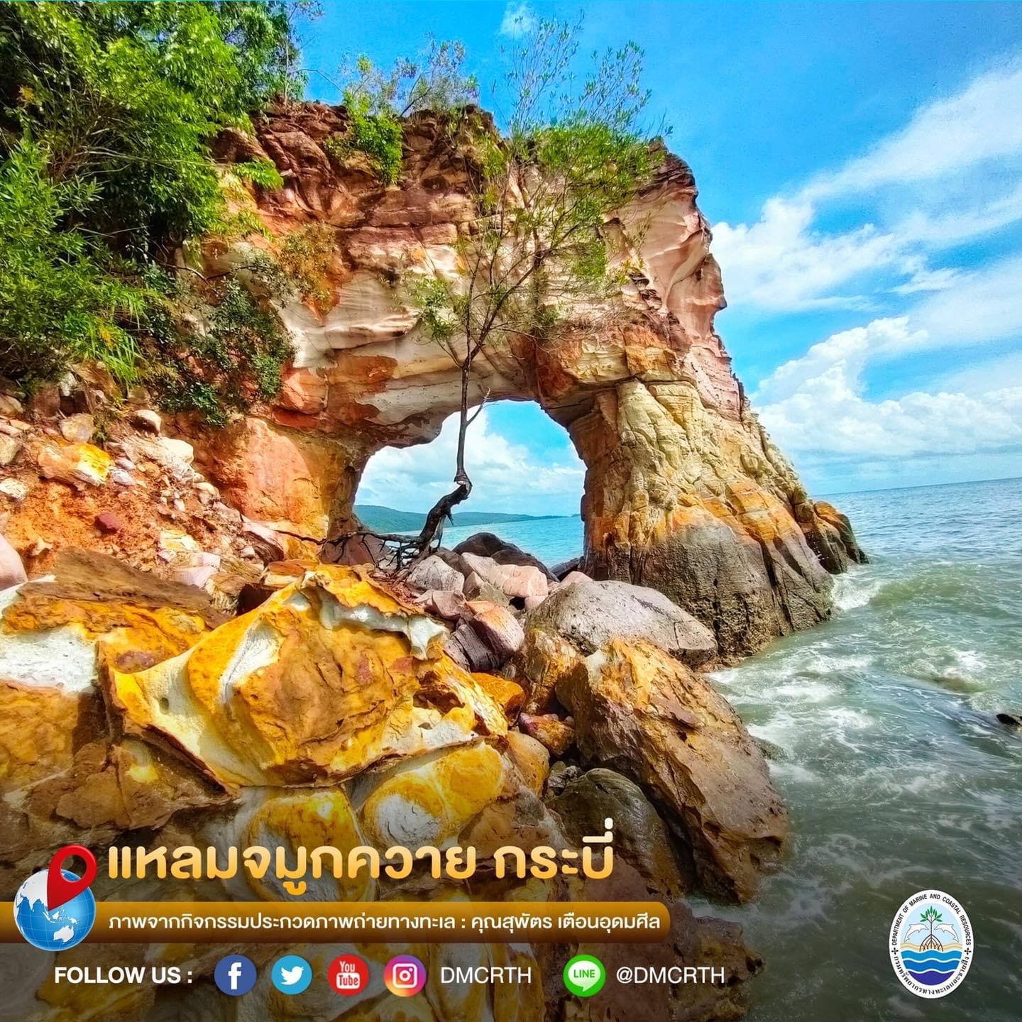 สวัสดี พี่น้องเครือข่ายอนุรักษ์ทะเลไทย