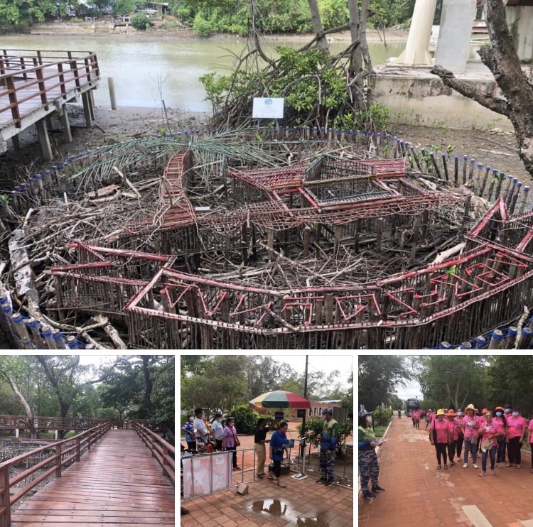 คณะอุดรฯ เยี่ยมชมธรรมชาติทะเลผืนป่าชายเลนระยอง