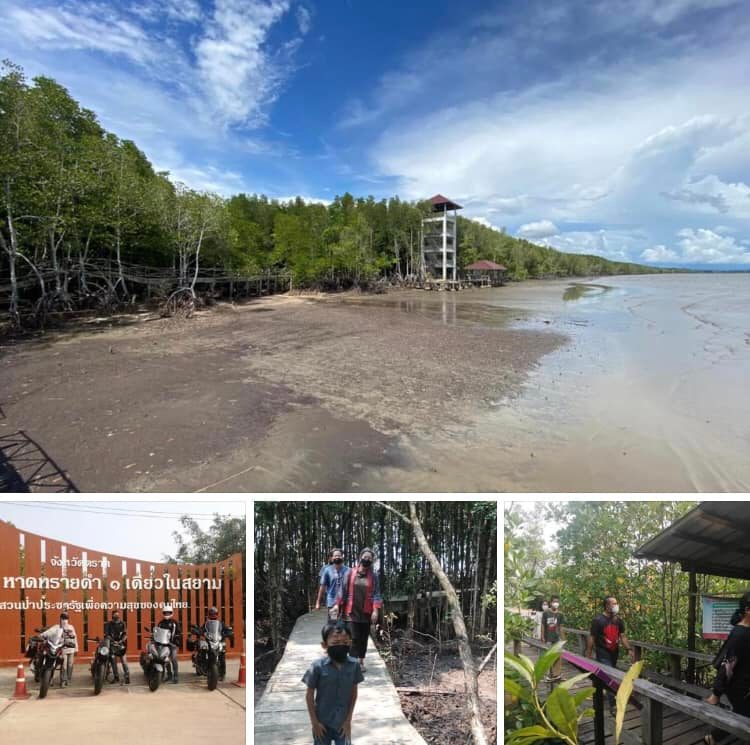 อยากให้มา ชมป่าชายเลนและหาดทรายดำอัศจรรย์ทะเลตราด