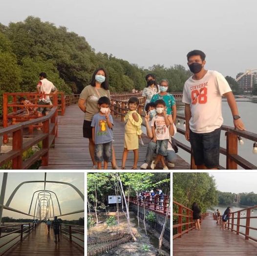 เด็กมาได้ สนุกได้ความรู้ที่ป่าชายเลนเมืองระยอง