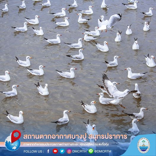 สวัสดี พี่น้องเครือข่ายอนุรักษ์ทะเลไทย