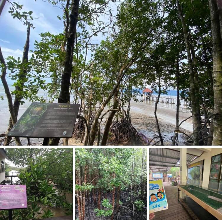 วิวสวย ถ้ามาตราดต้องไม่พลาดธรรมชาติริมอ่าวตราดที่หาดทรายดำ