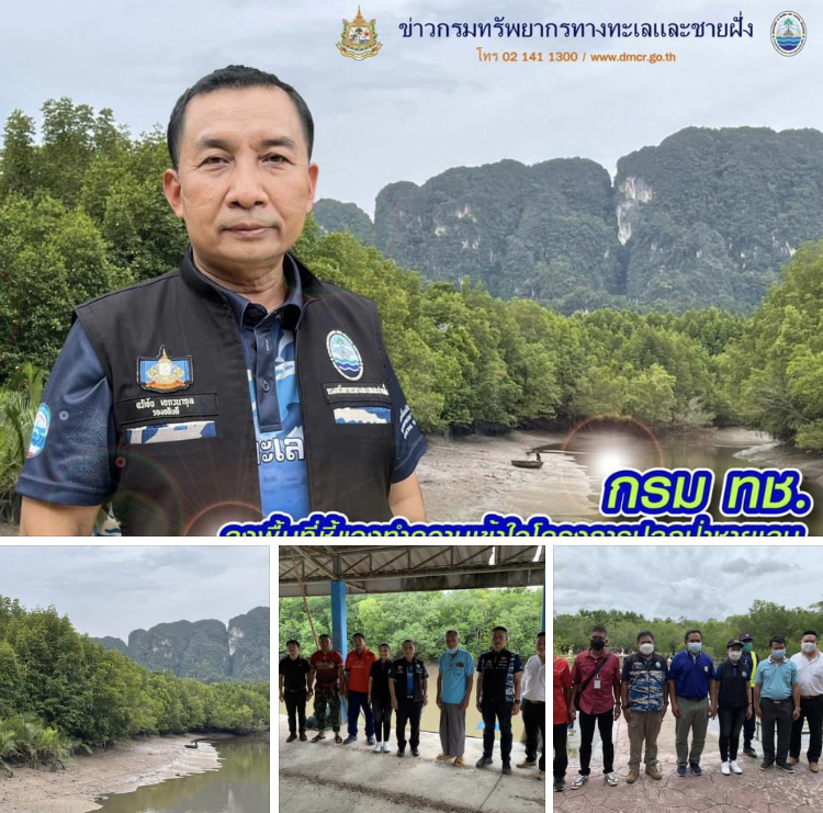 ชุมชนกระบี่ สนใจปลูกป่าชายเลนเพื่อคาร์บอนเครดิต
