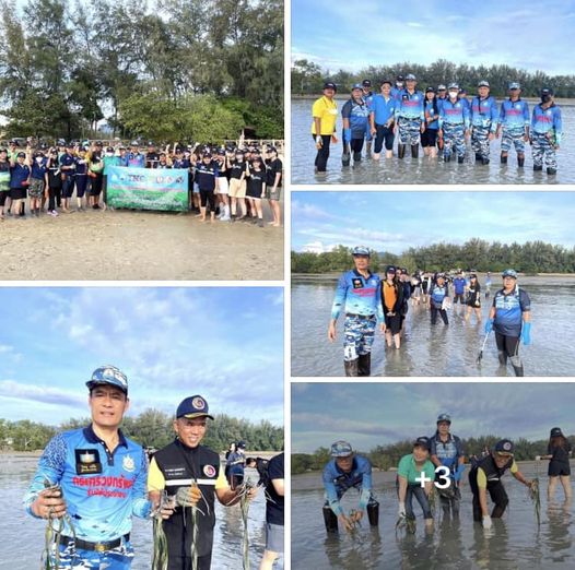 กรมทะเล ร่วมกิจกรรมปลูกหญ้าทะเล ท้องที่บริเวณหาดท่าหลา จ.ภูเก็ต