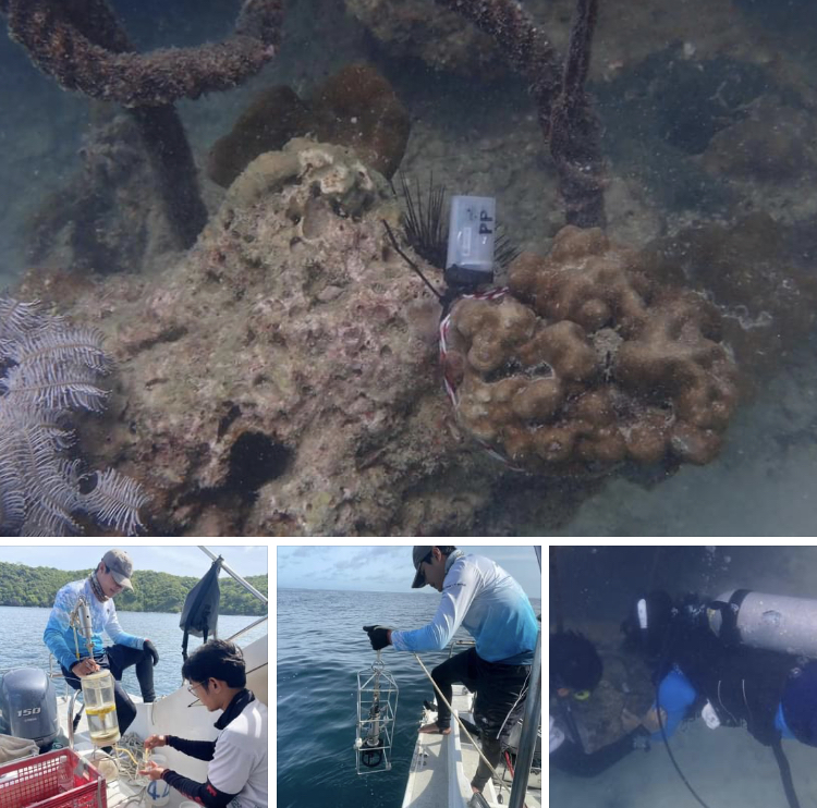 ตรวจสอบคุณภาพน้ำทะเลเกาะพีพี อยู่ในเกณฑ์มาตรฐาน