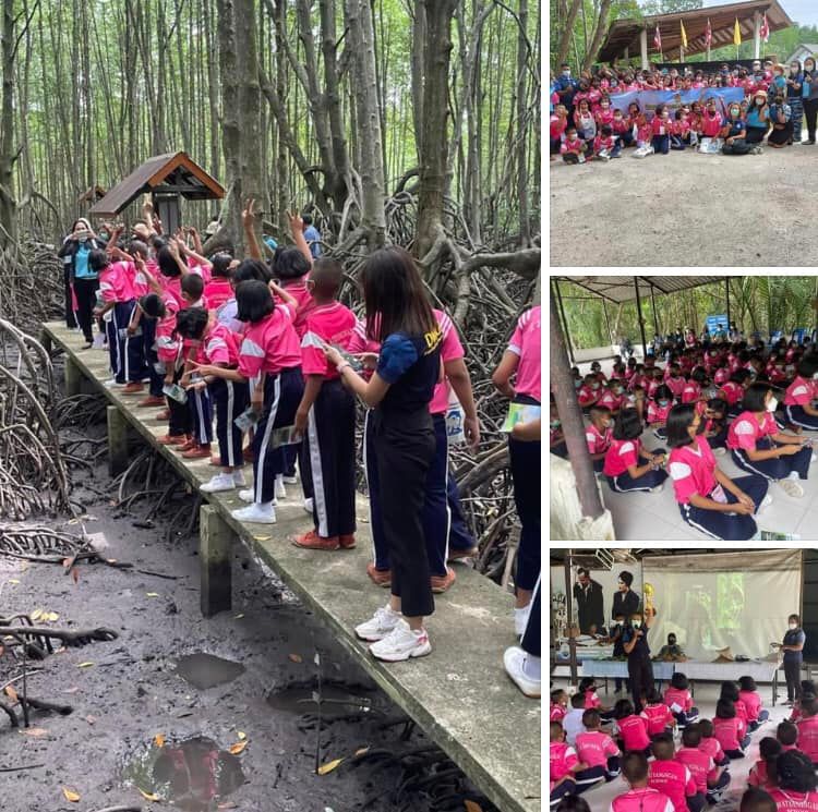 น้องๆ โรงเรียนวัดยางงาม มาเรียนรู้ของจริงในป่าชายเลนหน้าบ้าน