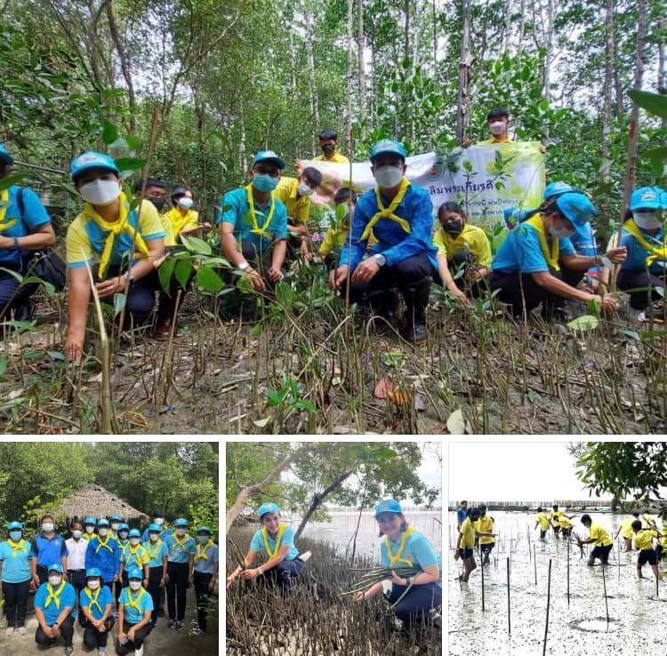 ศึกษาธิการจังหวัด นำคณะน้องๆ โรงเรียนวัดมุขธาราปลูกป่าปากนคร