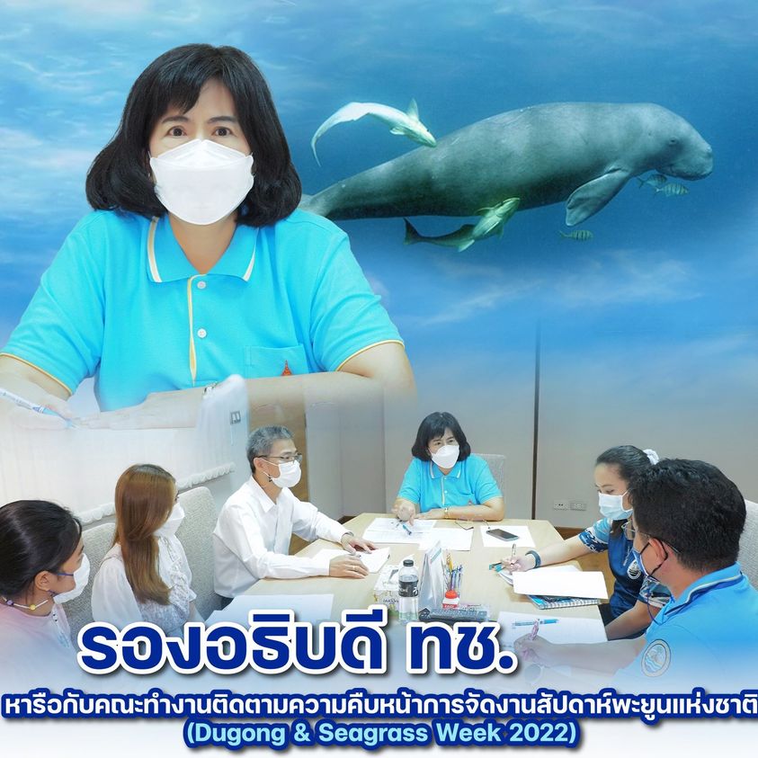 กรมทะเล เตรียมพร้อมจัดใหญ่งานสัปดาห์พะยูนแห่งชาติที่ตรัง