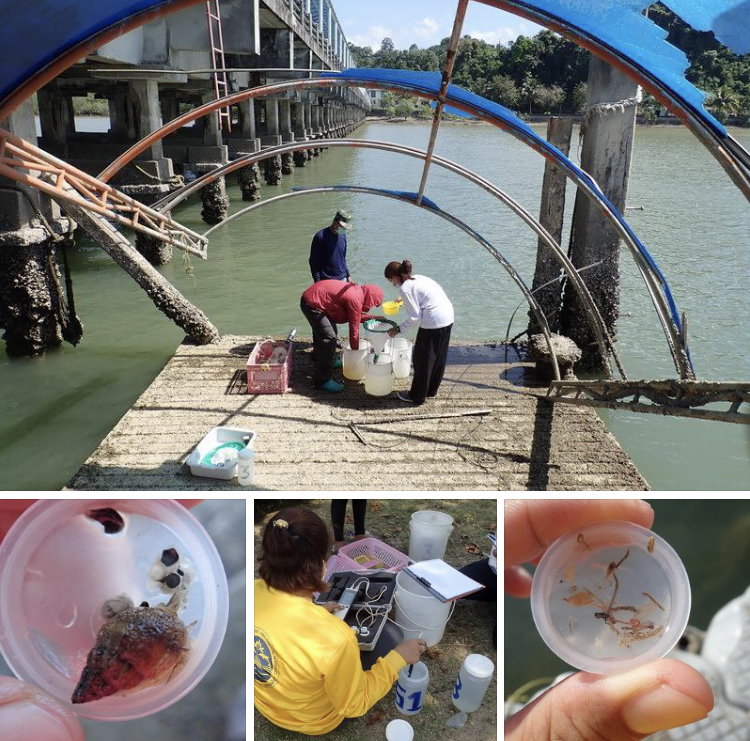 เฝ้าระวังต่อเนื่อง ตรวจวัดคุณภาพน้ำทะเลอันดามันตอนบน