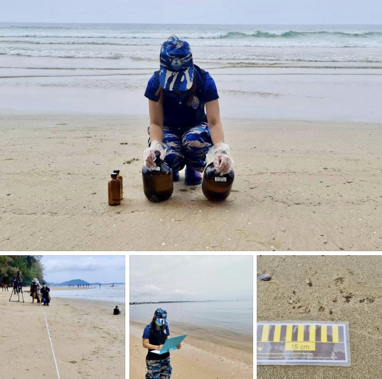 ติดตามผลกระทบทรัพยากรทางทะเล บนชายหาดระยอง