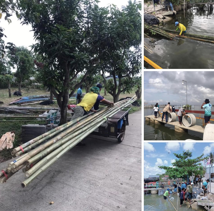 ส่งเสริมทำซั้ง บ้านปลาข้างเกาะยอ ในทะเลสาบสงขลา