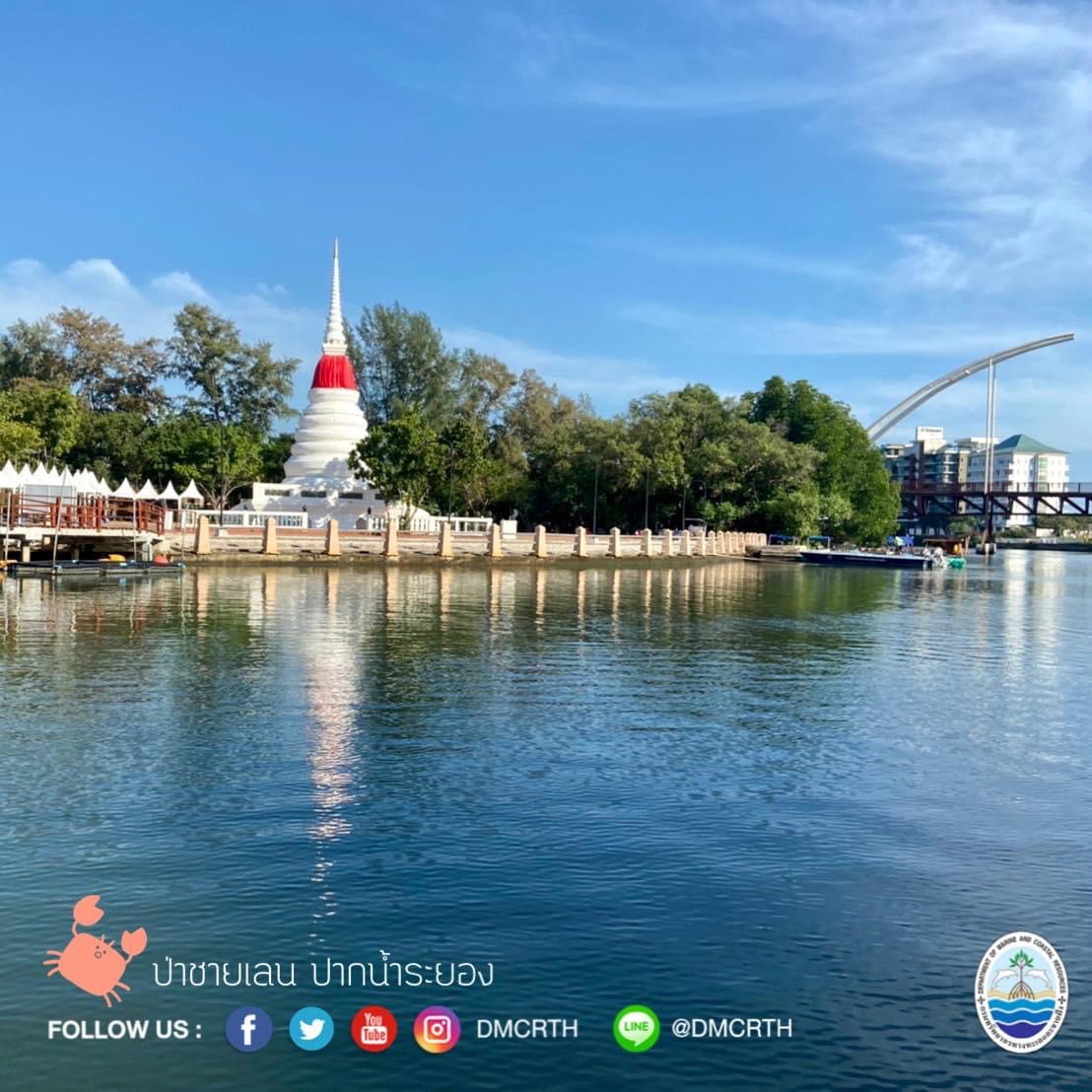 สวัสดี พี่น้องเครือข่ายอนุรักษ์ทะเลไทย