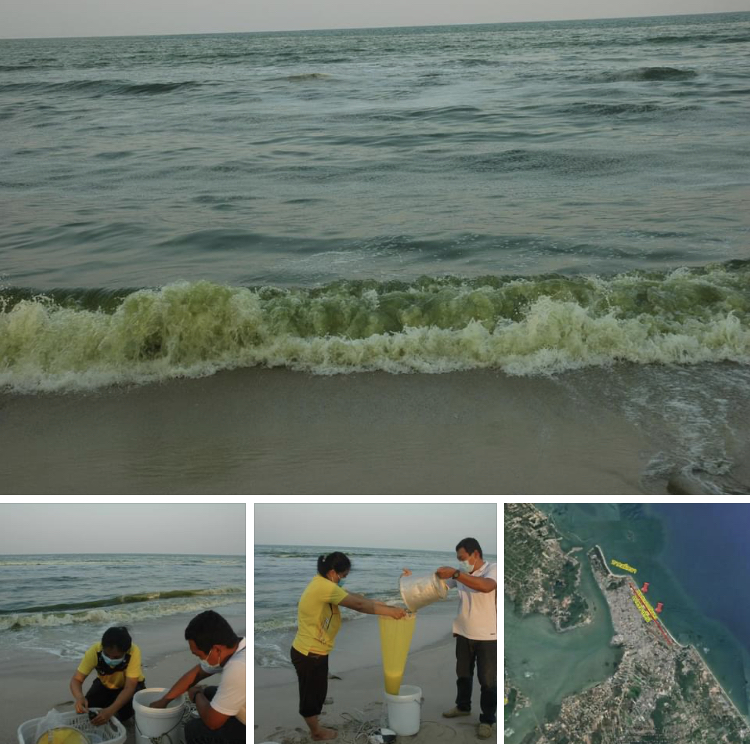 ตรวจสอบน้ำทะเลเปลี่ยนสี หน้าชายหาดชลาทัศน์