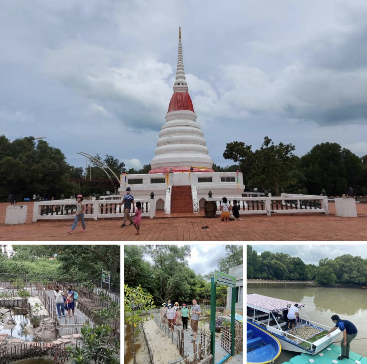 ฝนมา บรรยากาศดีเดินชมธรรมชาติผืนป่าชายเลนระยอง
