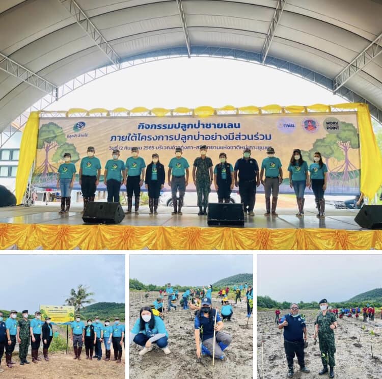 รวมใจชาวชุมพร ฟื้นฟูปลูกป่าชายเลนอ่าวทุ่งคา-สวี