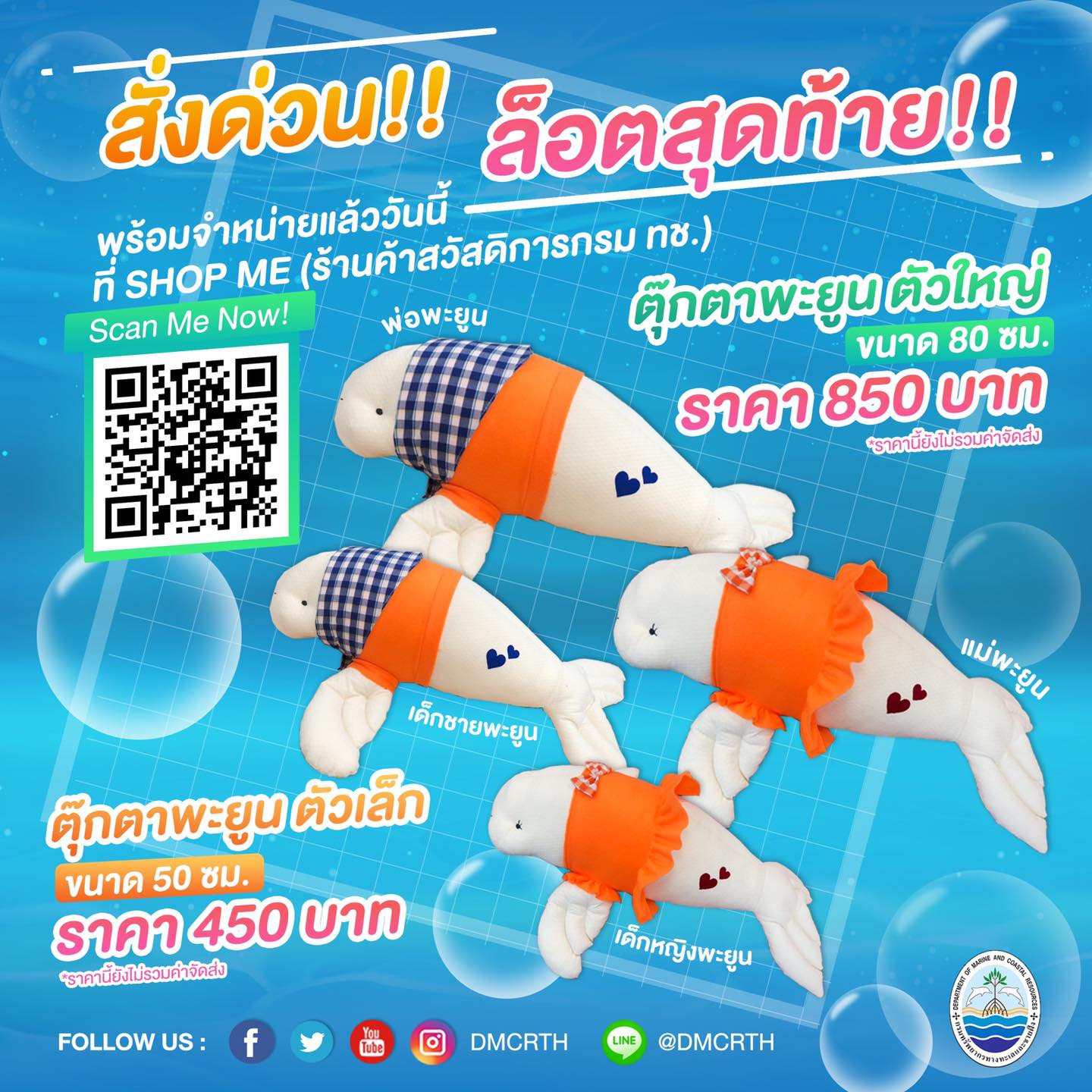 ของดีมีจำกัด จัดไป!!! น้องพะยูนล๊อตสุดท้าย ของขวัญเพื่อคนที่คุณรัก