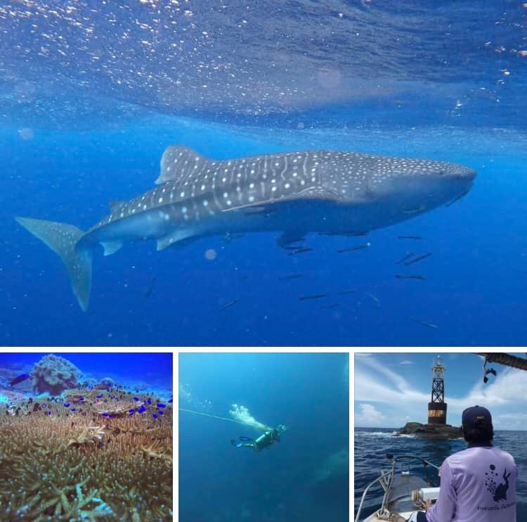 เร่งกำหนดจุดจอดเรือ ตามประการศพื้นที่คุ้มครองเกาะโลซิน