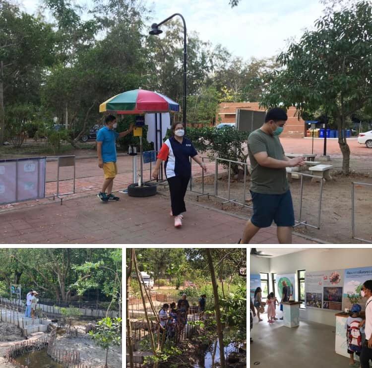 เชิญมาเดิน มาจัดกิจกรรมในผืนป่าชายเลน พระเจดีย์กลางน้ำระยอง