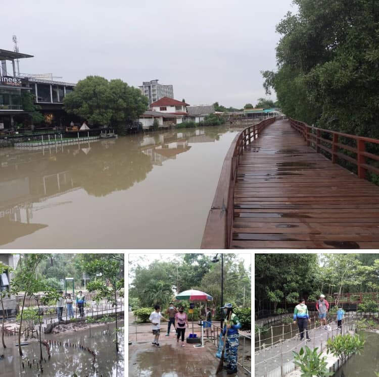 ฝนตกแต่เราไม่พลาด เที่ยวชมป่าชายเลนในเมืองระยอง