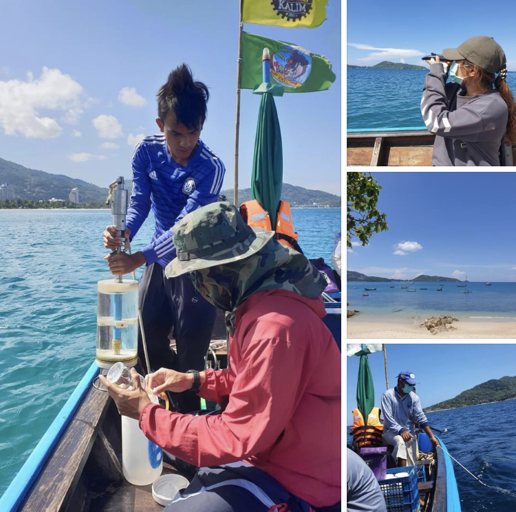 ทะเลป่าตอง สถานการณ์น้ำทะเลโดยทั่วไปปกติ