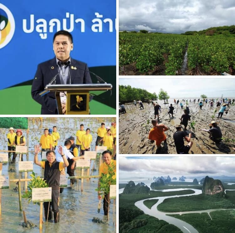 กระทรวงทรัพย์ฯ จับมือคลัง หารือช่วยดันปลูกป่าเพื่อคาร์บอนเครดิต ด้านกรมทะเล คาดพื้นที่ป่าชายเลนเพิ่ม ๓ แสนไร่ ใน ๑๐ ปี