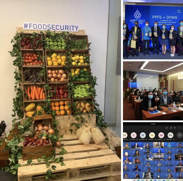 กรมทะเล ร่วมคณะทำงานประชุมด้านมหาสมุทรและการประมงเอเปค