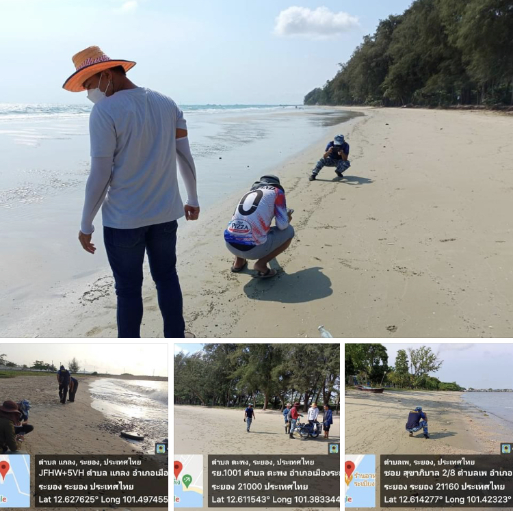 ผลกระทบลดลงต่อเนื่อง ชายหาดแม่รำพึงพบก้อนน้ำมันดินบางจุด