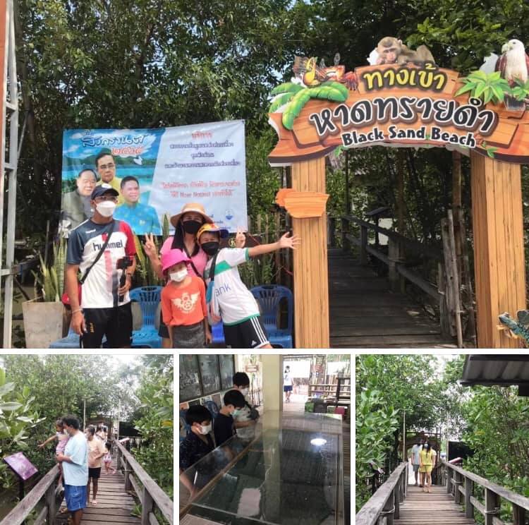 เปิดทุกวัน ป่าชายเลนและหาดทรายดำอัศจรรย์ทะเลตราด