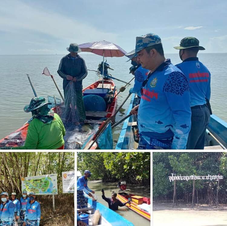 ลาดตระเวนผืนป่าชายเลนในเมืองนครศรีธรรมราช สถานการณ์ปกติ